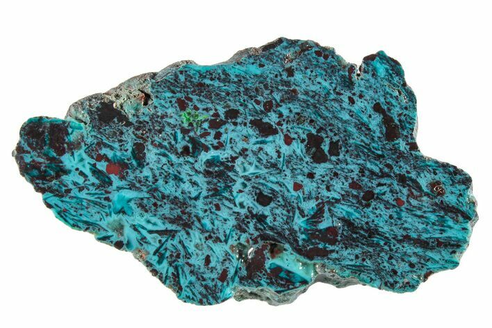 Vibrant Chrysocolla and Shattuckite Slab - Mexico #281747